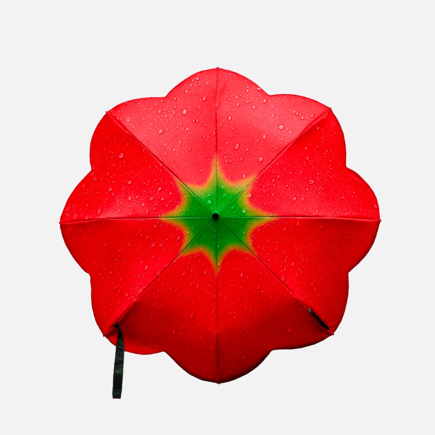 PDMG - TOMATO UMBRELLA