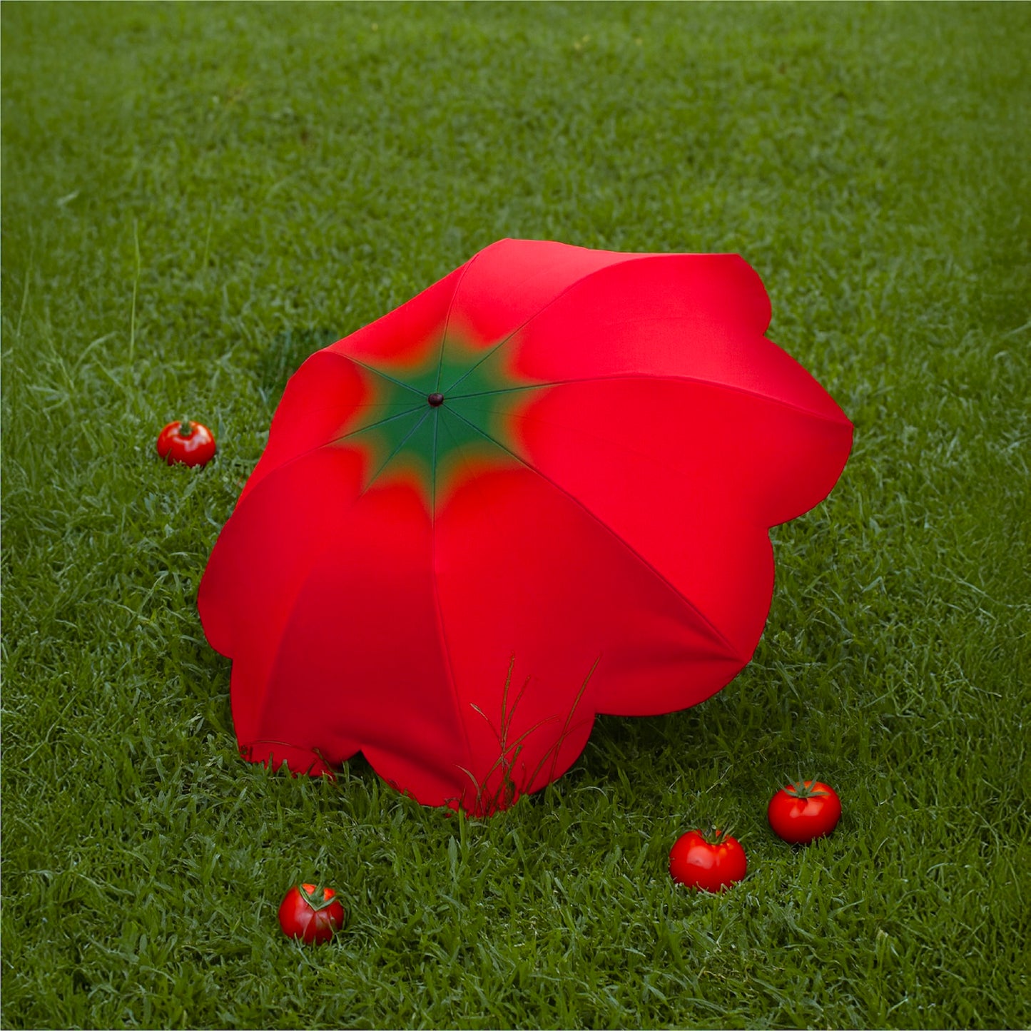 PDMG - TOMATO UMBRELLA