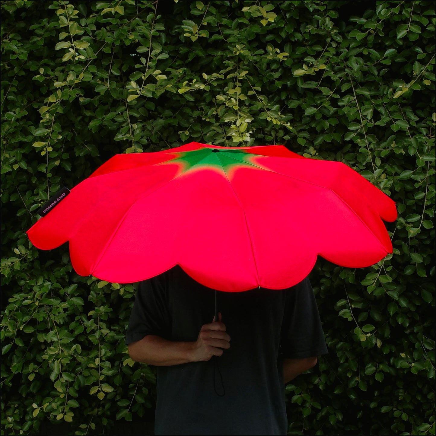 PDMG - TOMATO UMBRELLA