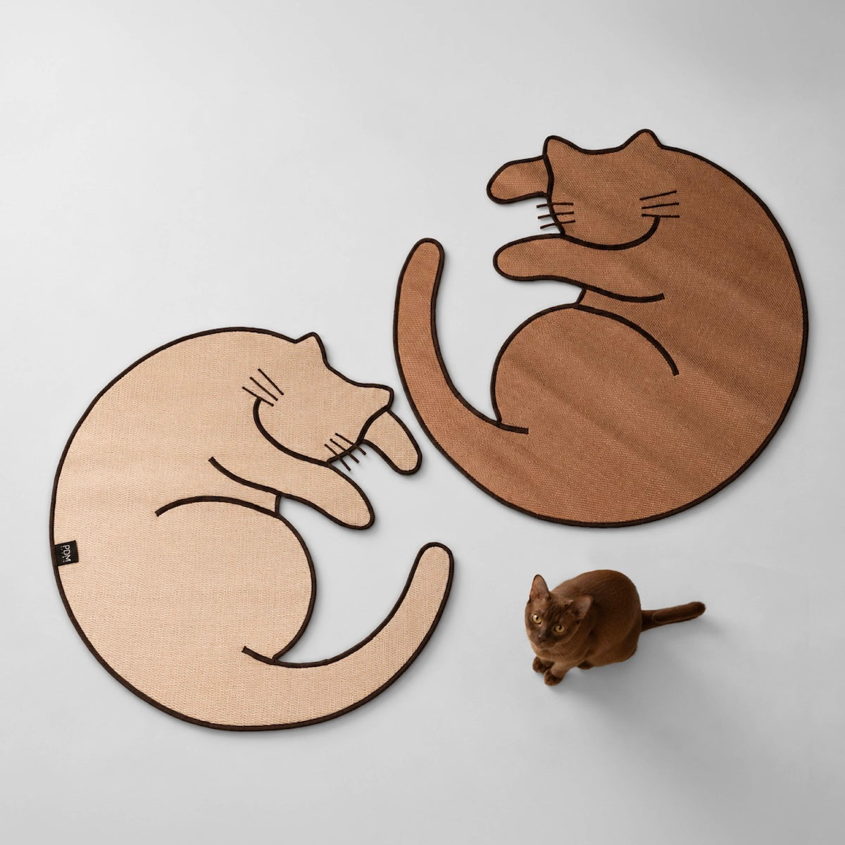 Curl