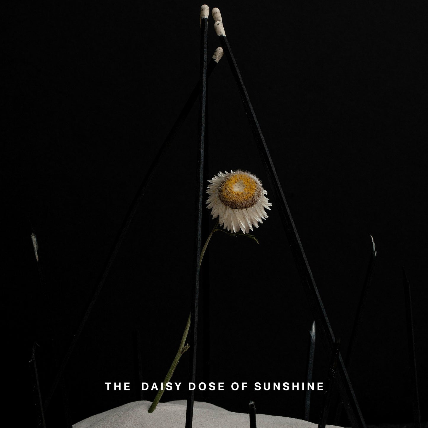 Daisy Field - Side Table