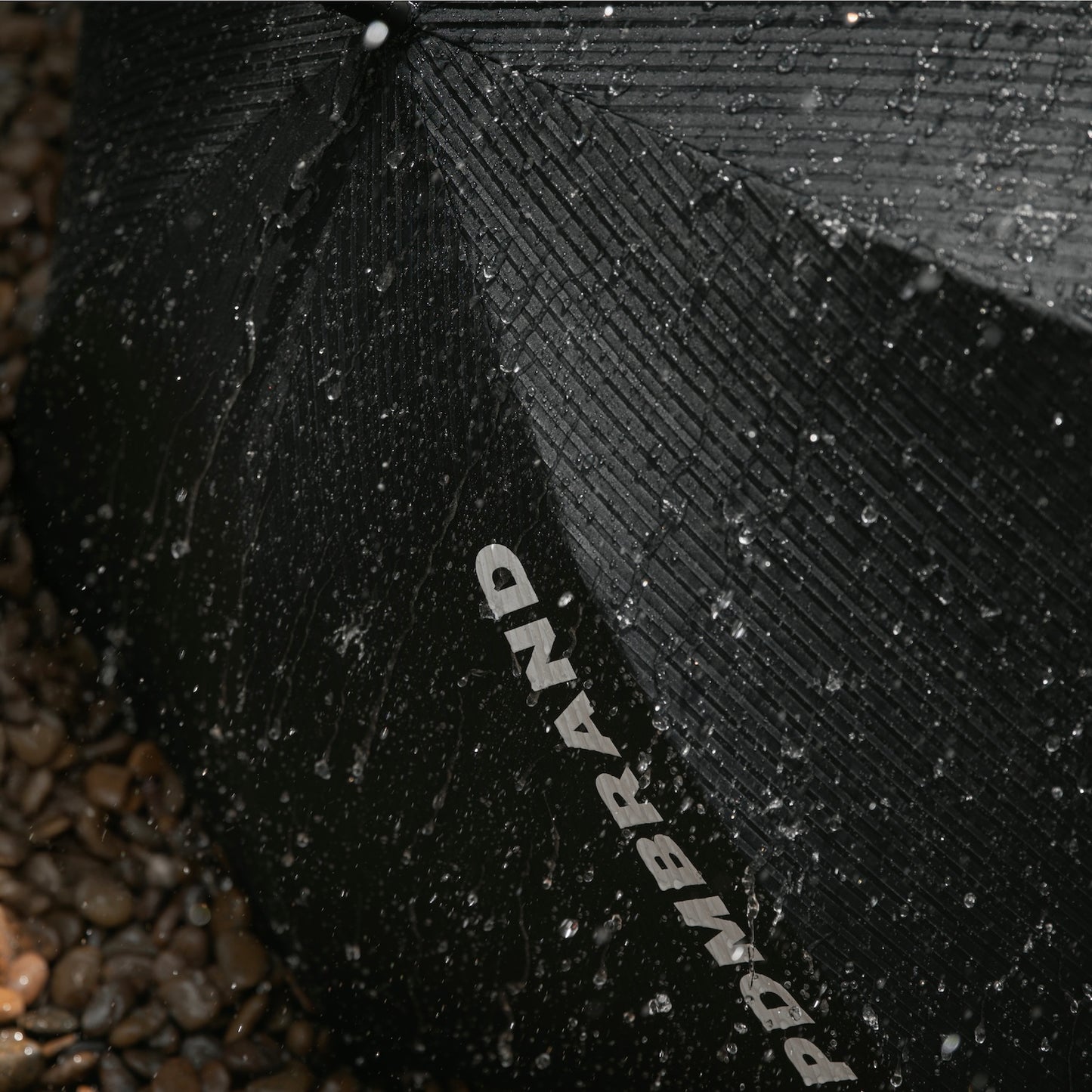 Echo Rains