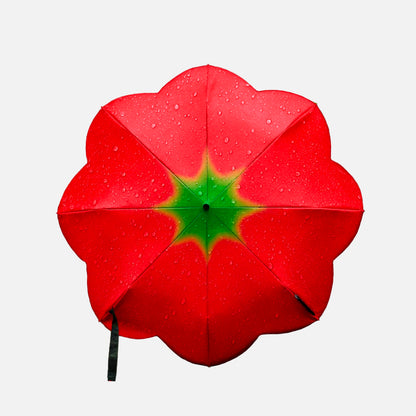 Tomato Umbrella