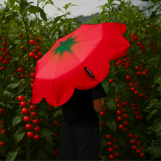 PDMG - TOMATO UMBRELLA