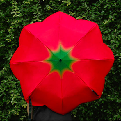 Tomato Umbrella