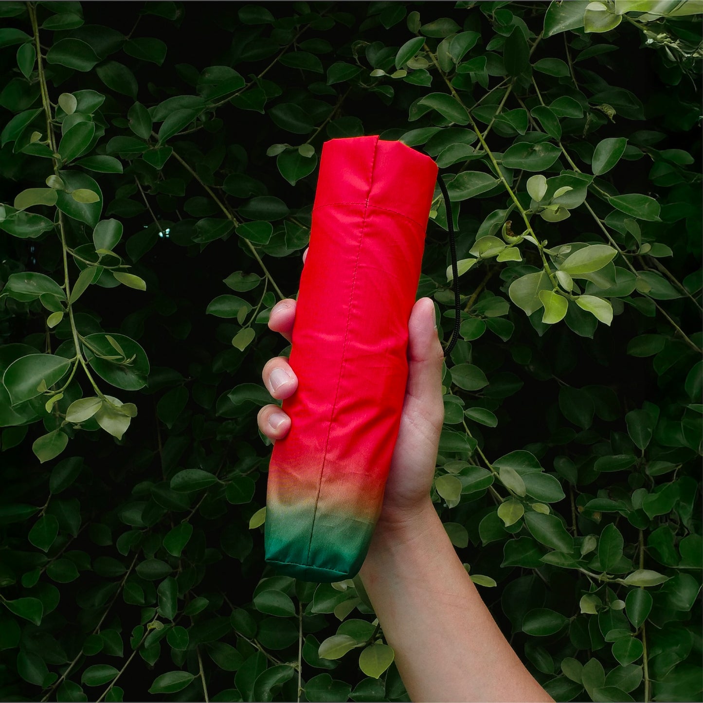 PDMG - TOMATO UMBRELLA
