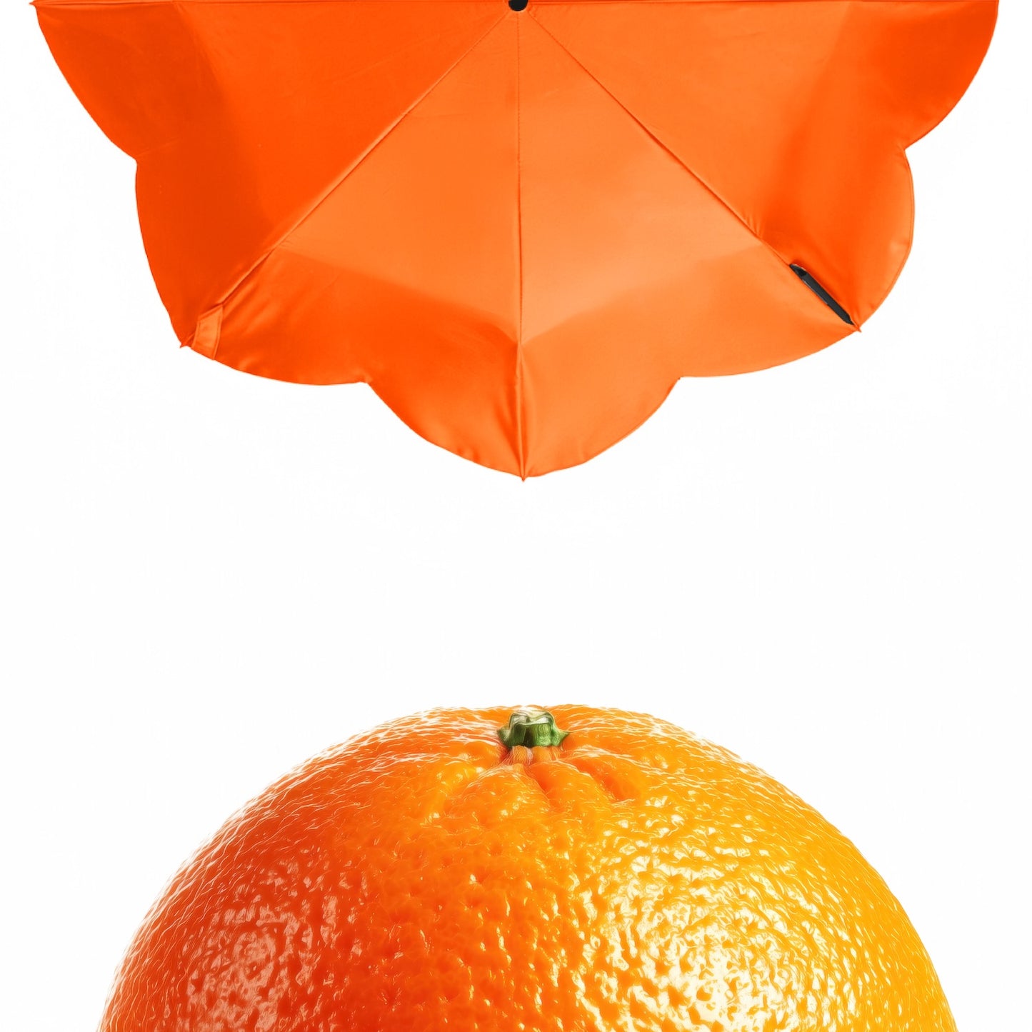 Sunny Umbrella - mini