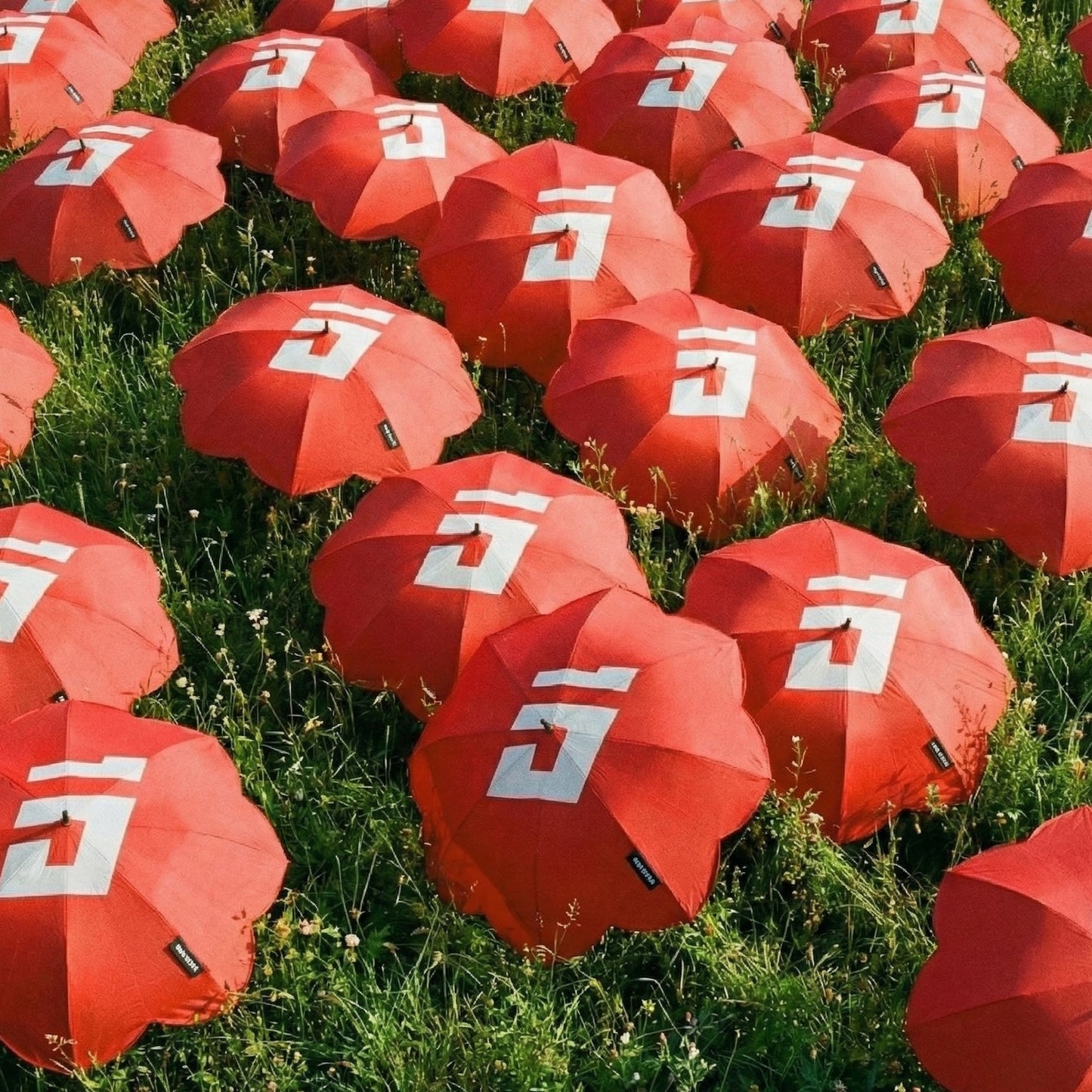 Daisy D-Eok (Pre-order)