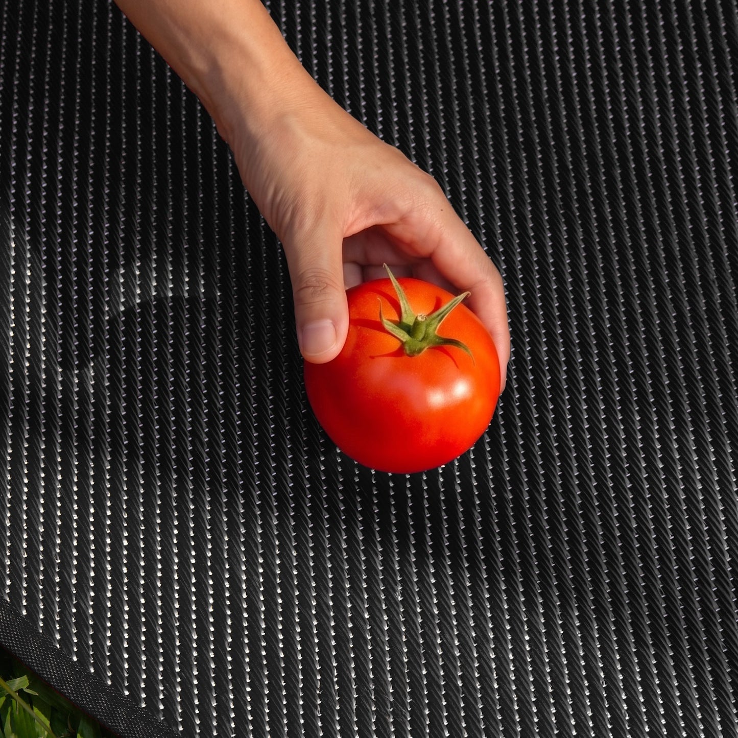Tomato Mat