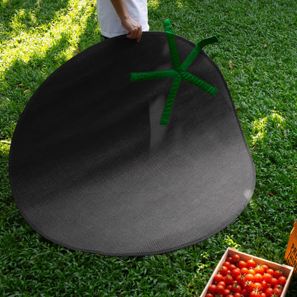 Tomato Mat
