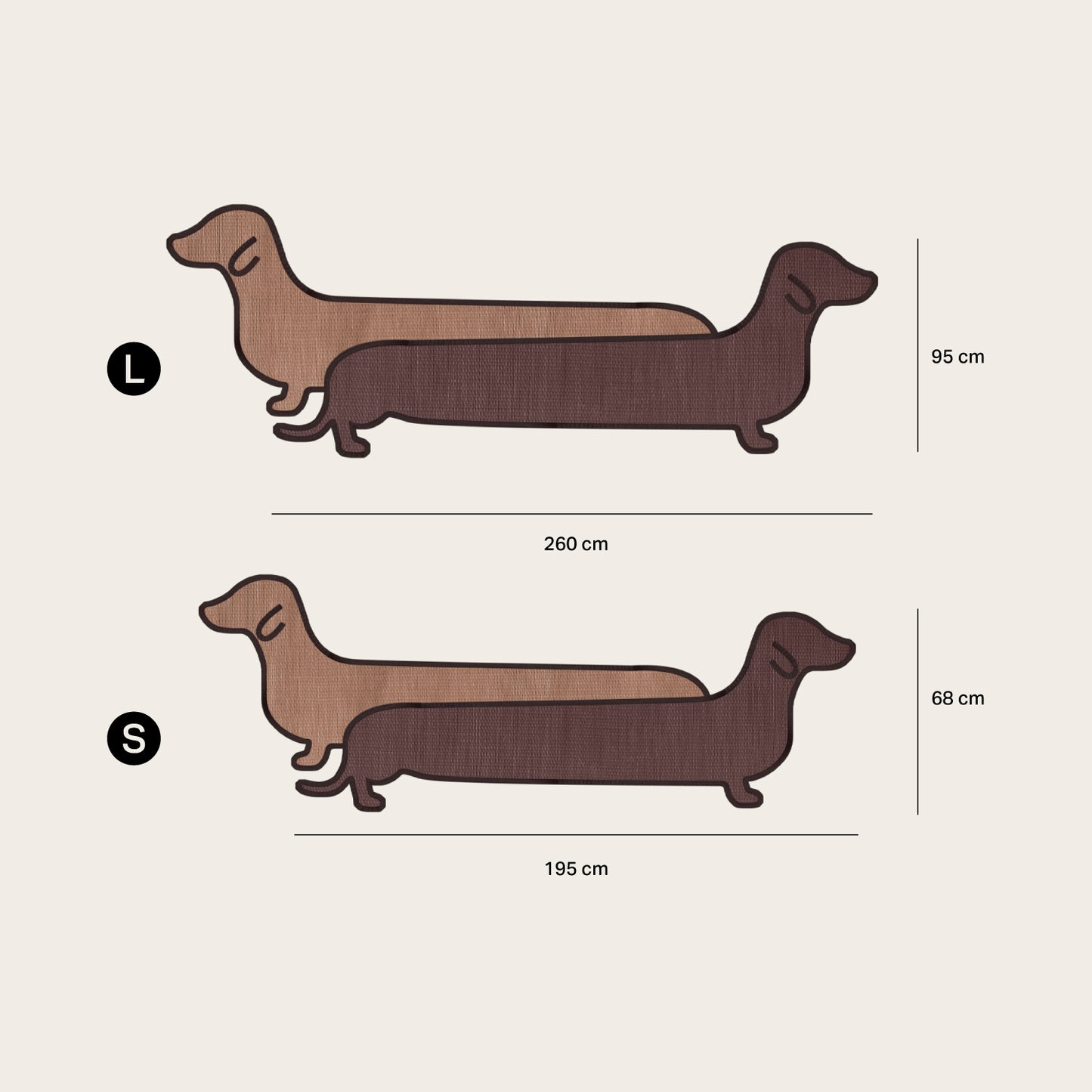 Dachshund