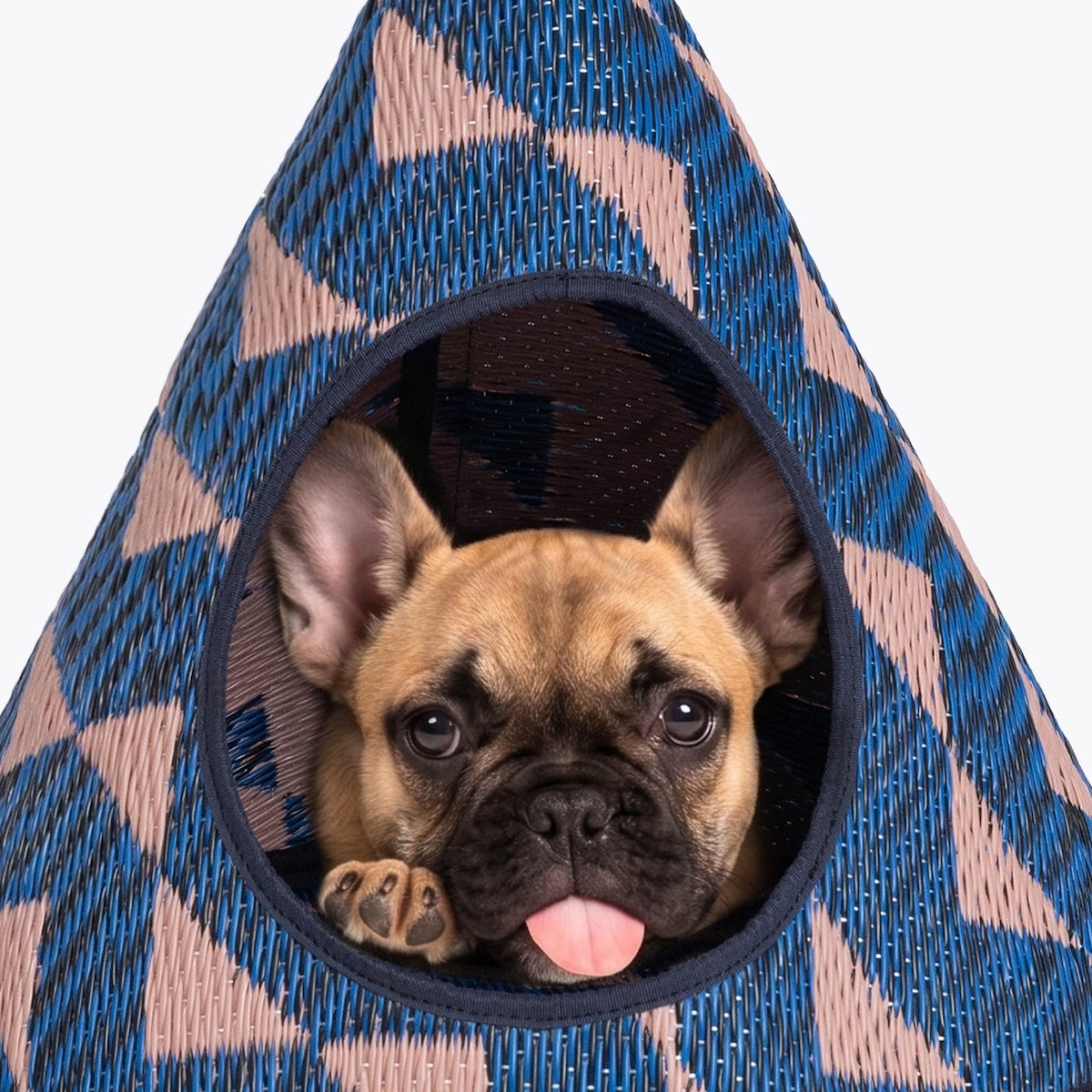 Canyon Pet House (Pre - Order)