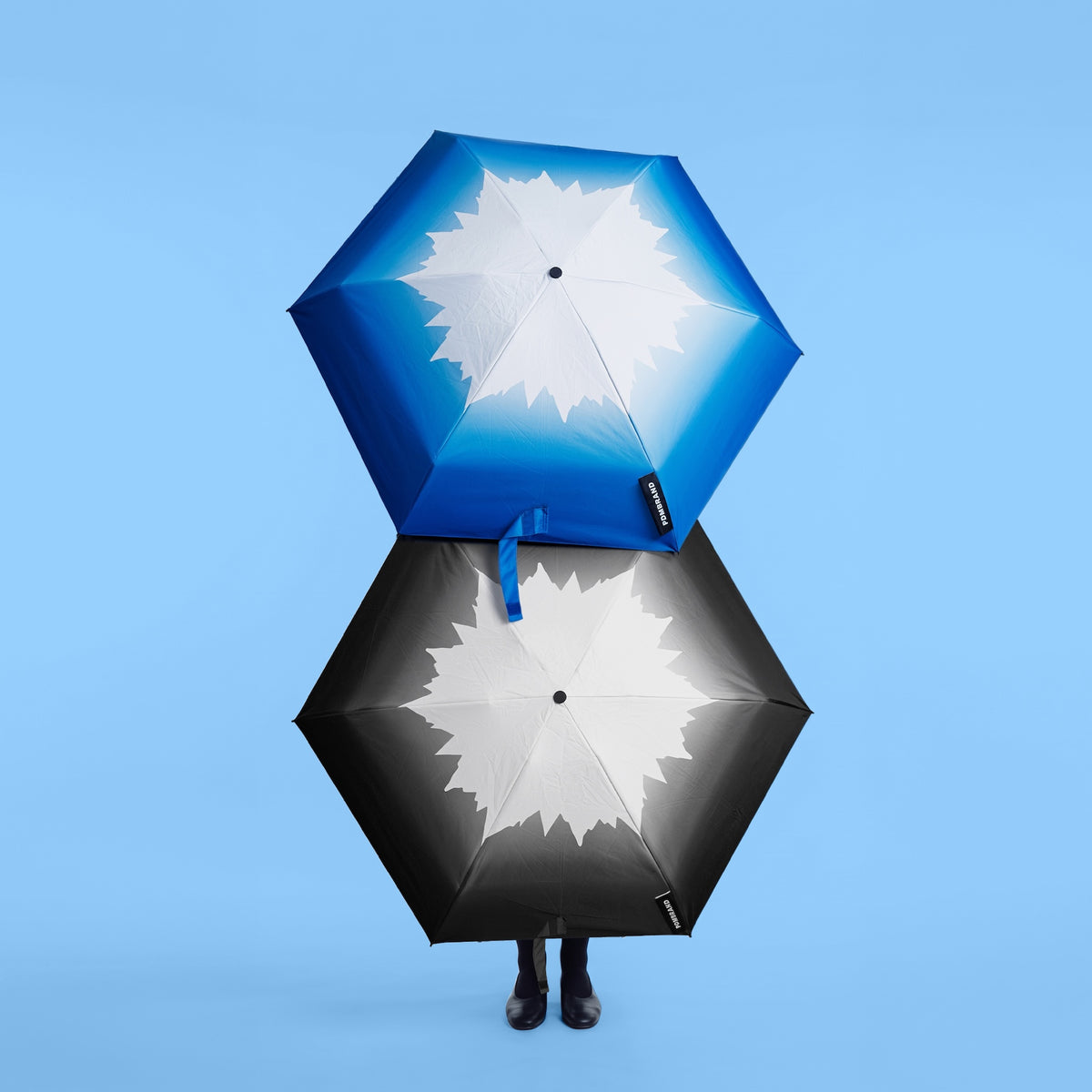 Fuji (Pre-order)