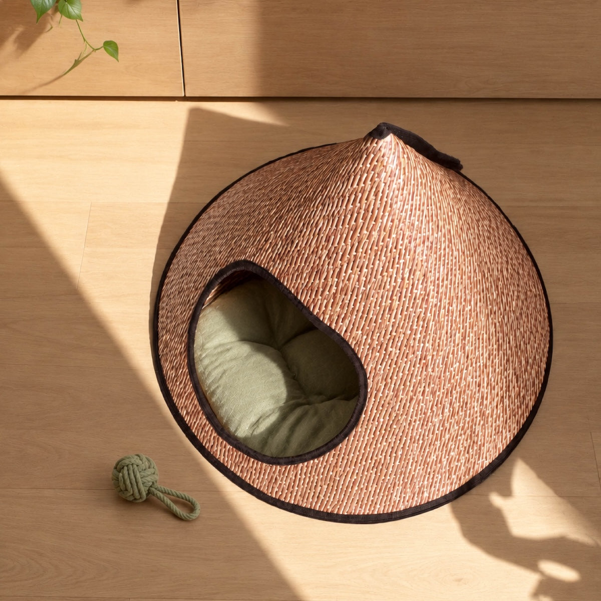 Canyon Pet House (Pre - Order)