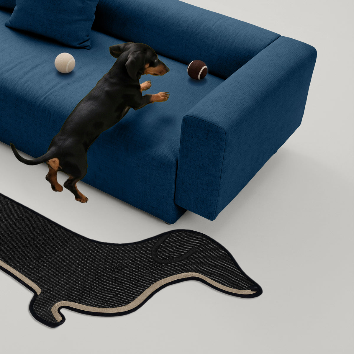 The New Dachshund (Pre-order)