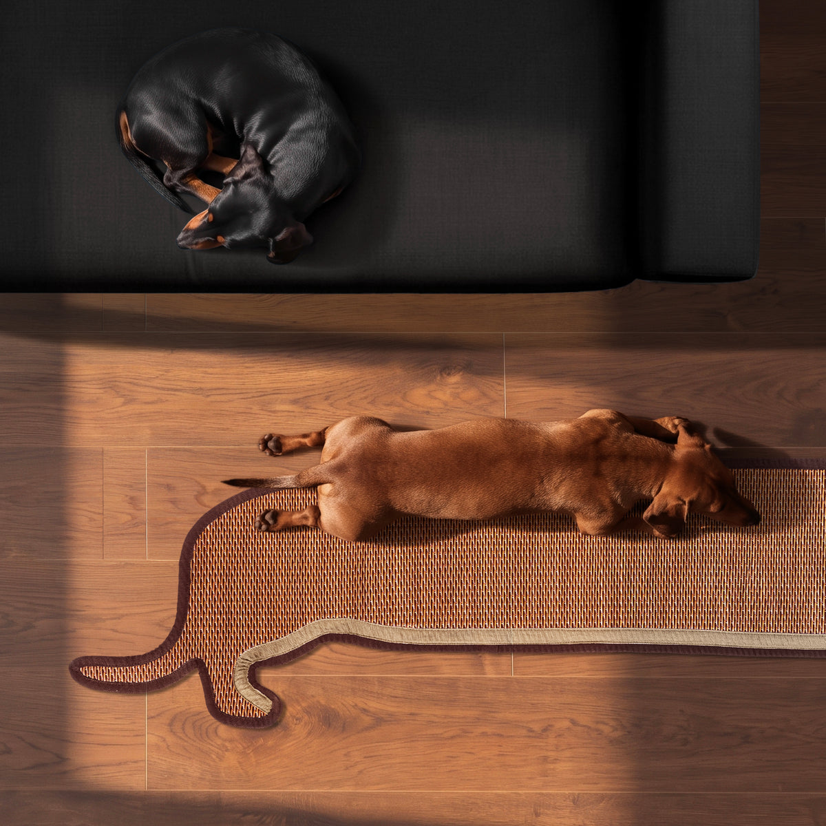 The New Dachshund (Pre-order)