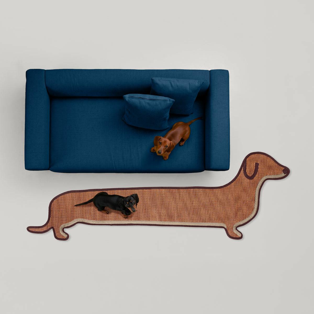 The New Dachshund (Pre-order)