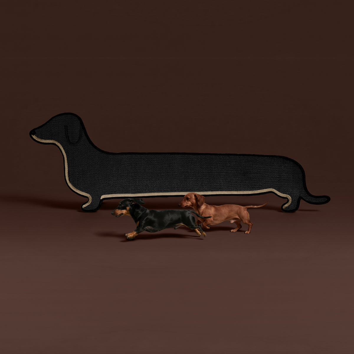The New Dachshund (Pre-order)