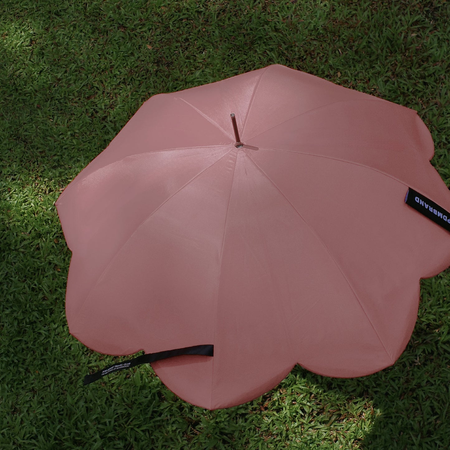 Sunny Parasol (Pre-order)