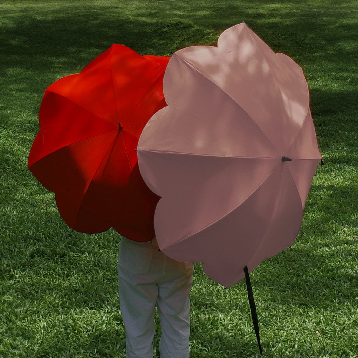 Sunny Parasol (Pre-order)