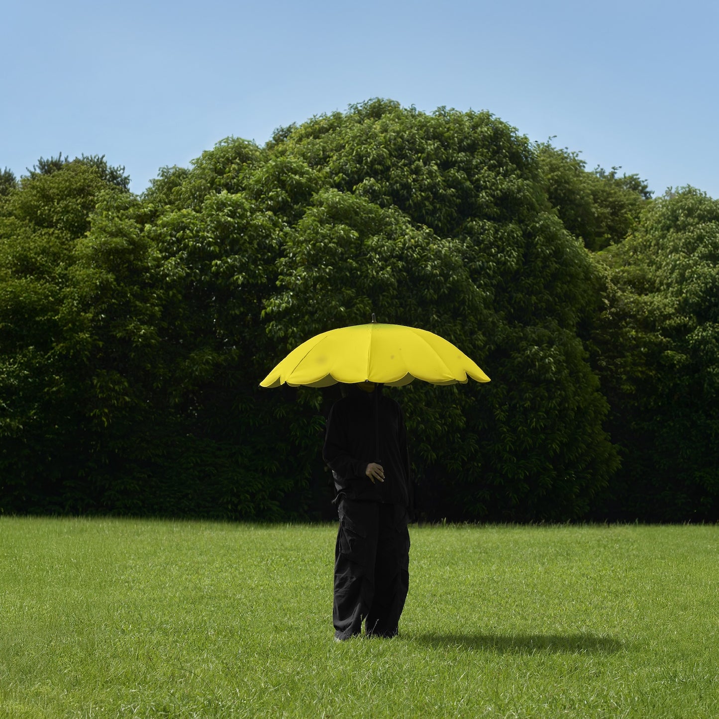 Banana Parasol