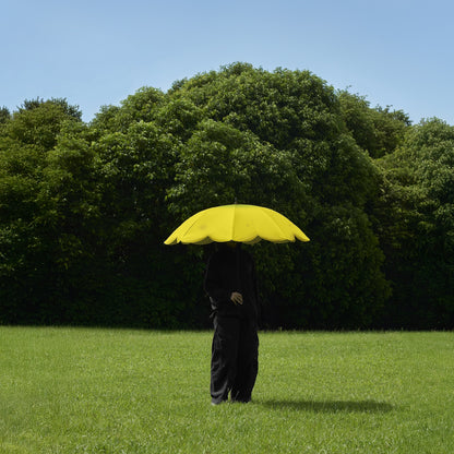 Banana Parasol