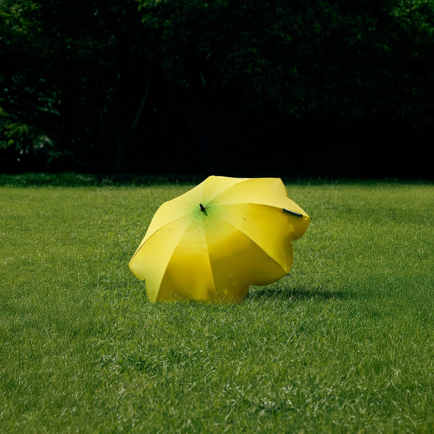 Banana Parasol