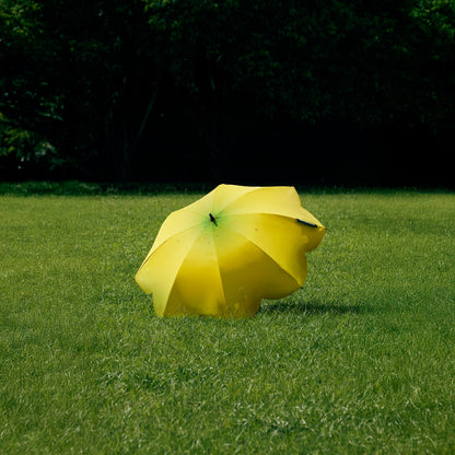 Banana Parasol