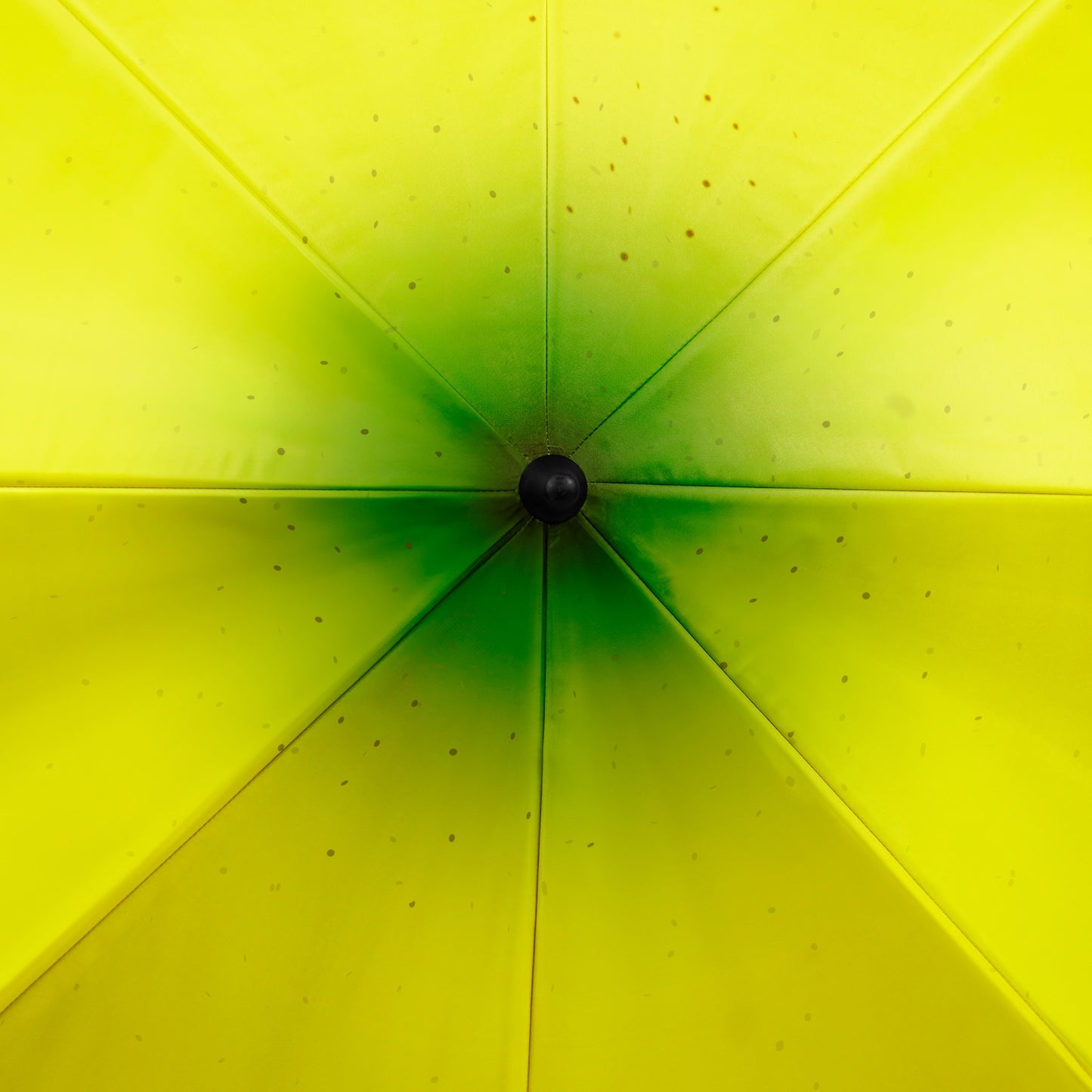 Banana Parasol