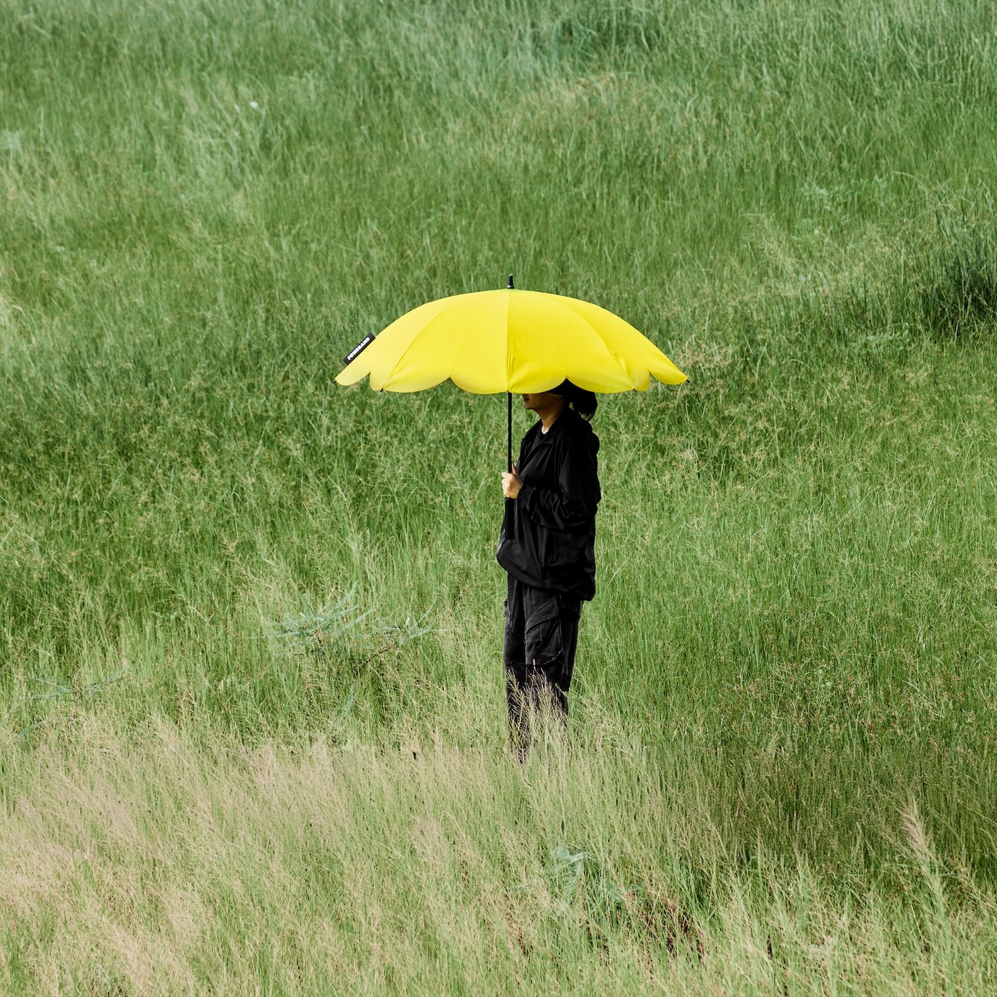 Banana Parasol