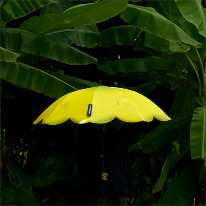 Banana Parasol