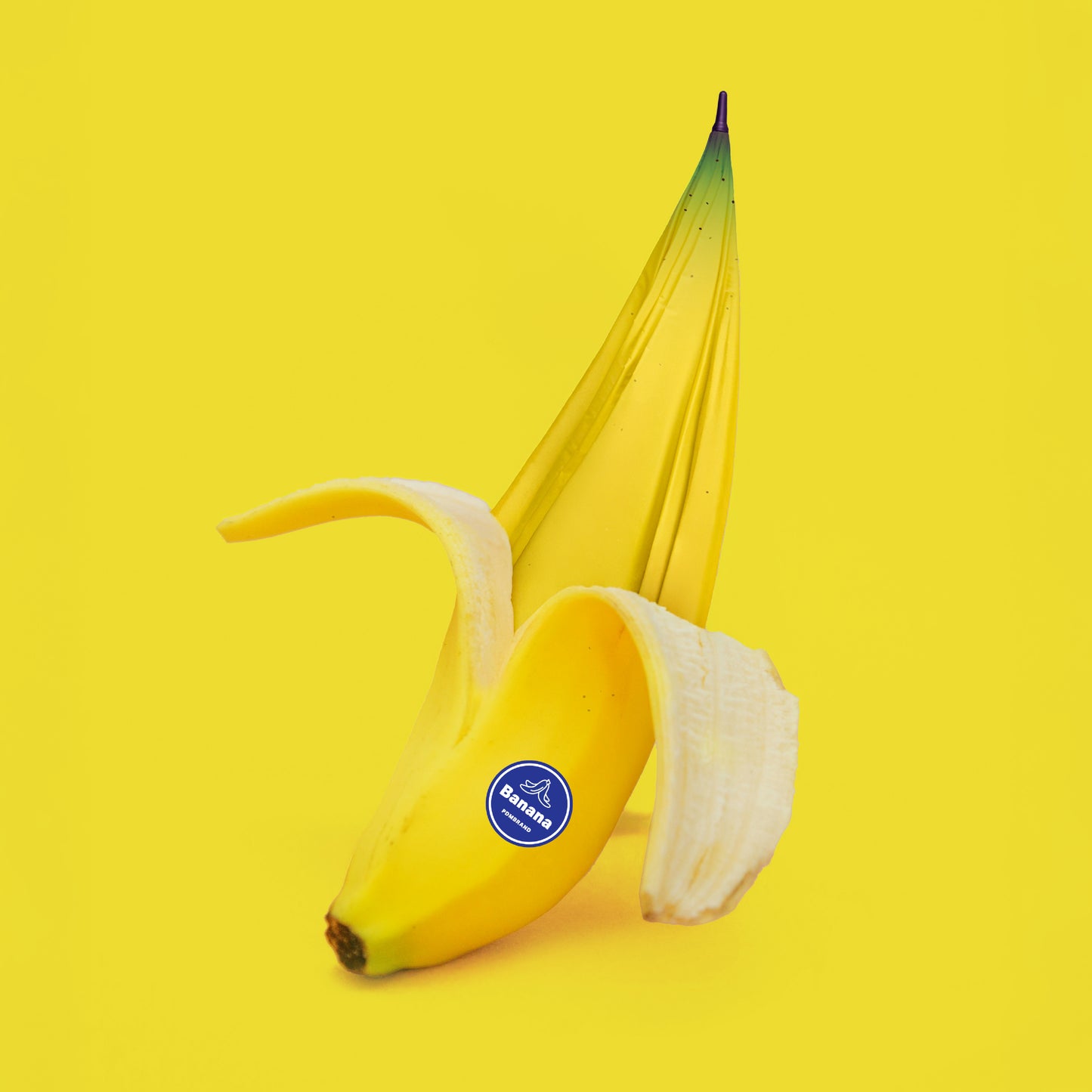 PDMG - BANANA PARASOL (5pcs/pack)