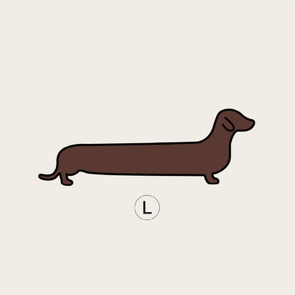 Dachshund