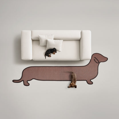 Dachshund