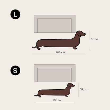 Dachshund