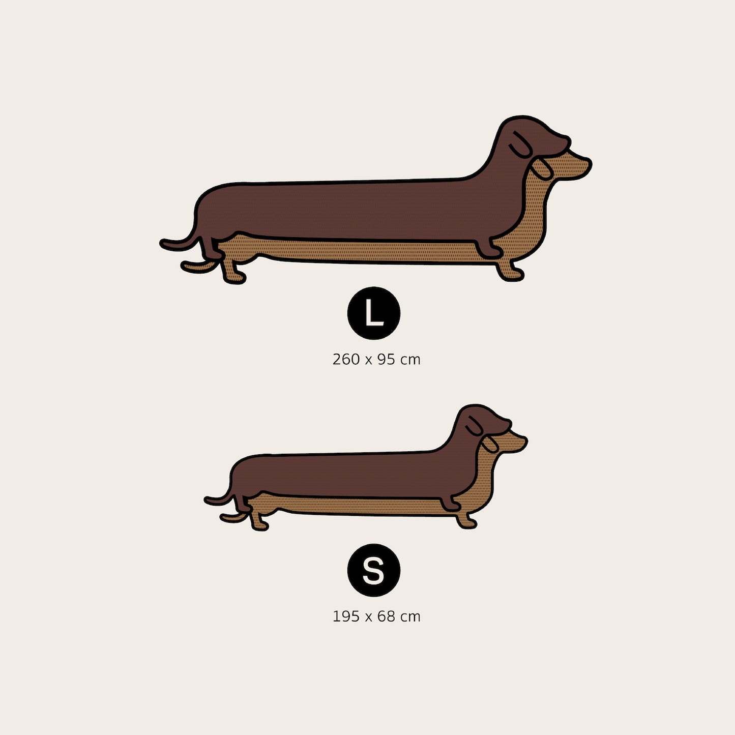 Dachshund