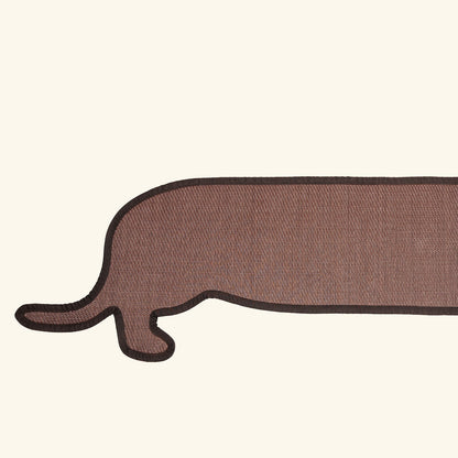 Dachshund