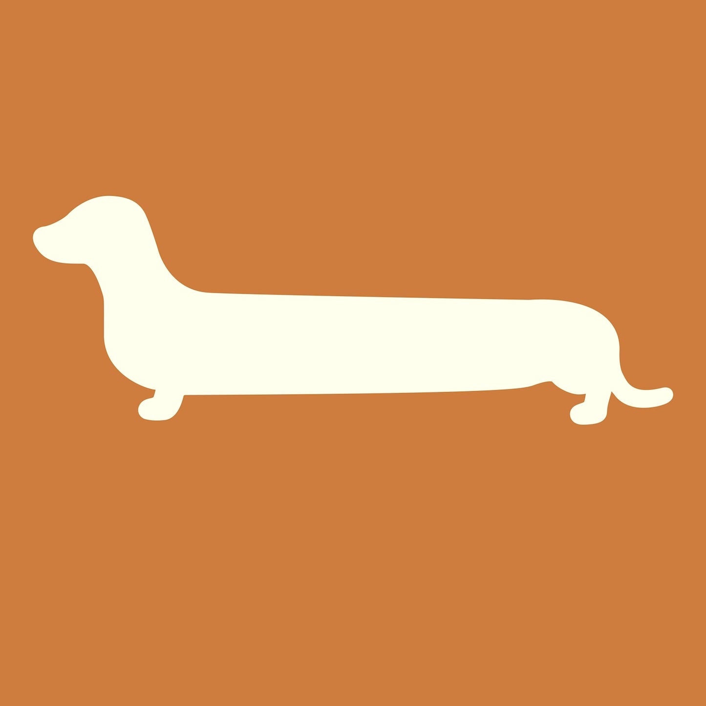 Dachshund