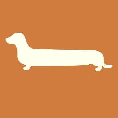 Dachshund