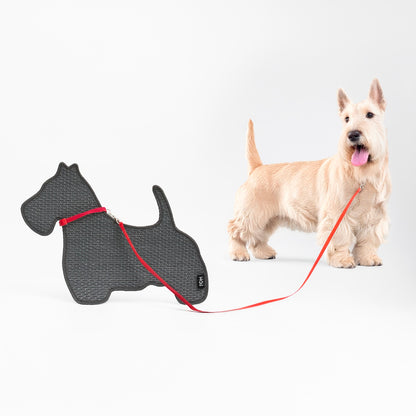 Canine Karava
