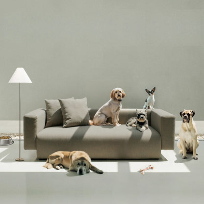 TRITZ - Pet Friendly Series (Pre order)