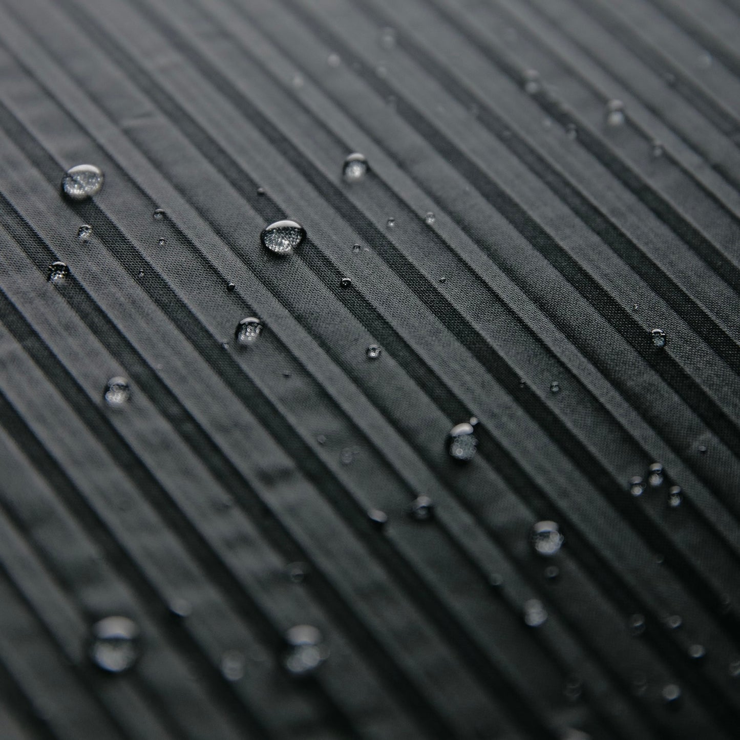 Echo Rains