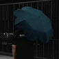 PDMG - Sunny Umbrella mini (5 pcs/pack)