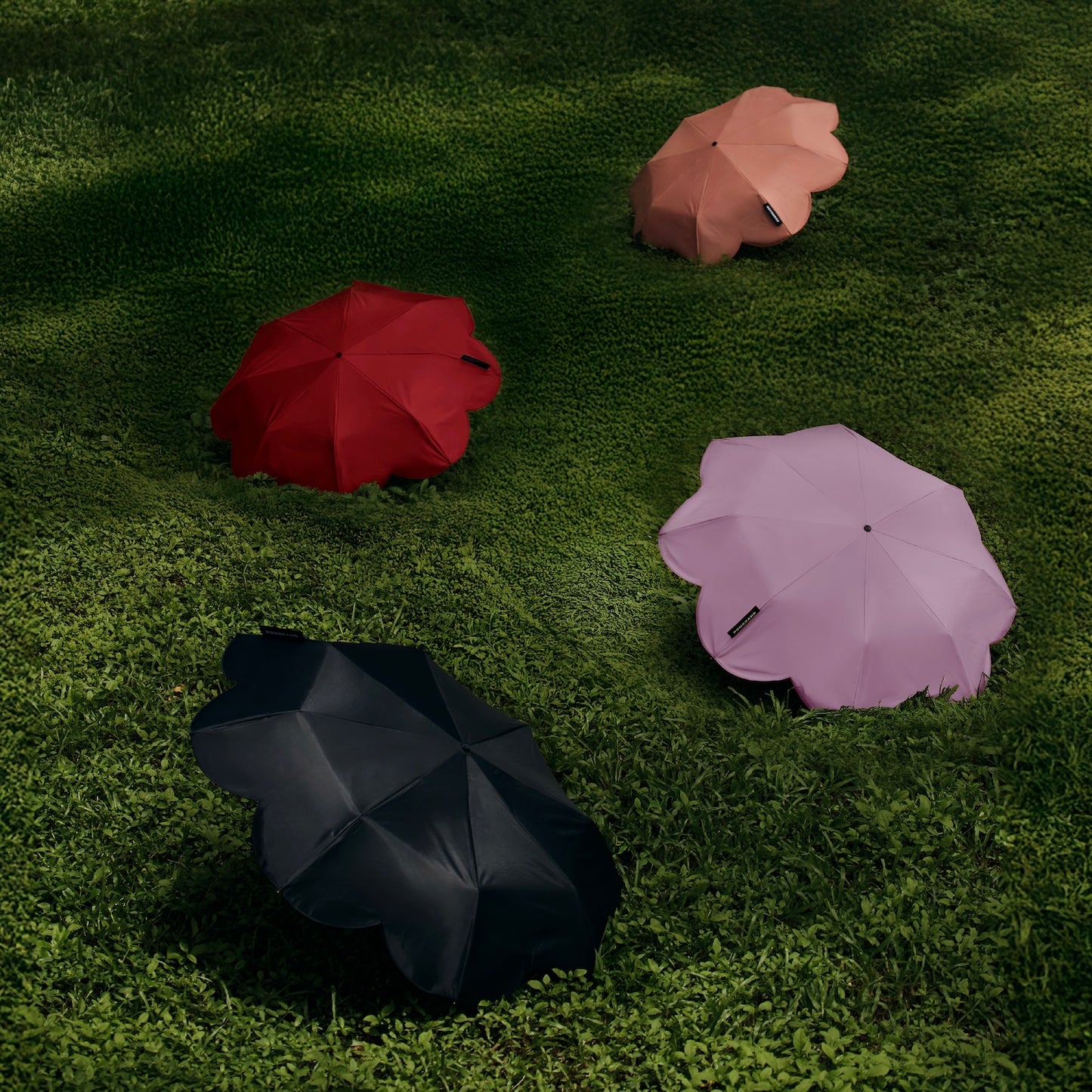 Sunny Umbrella - mini
