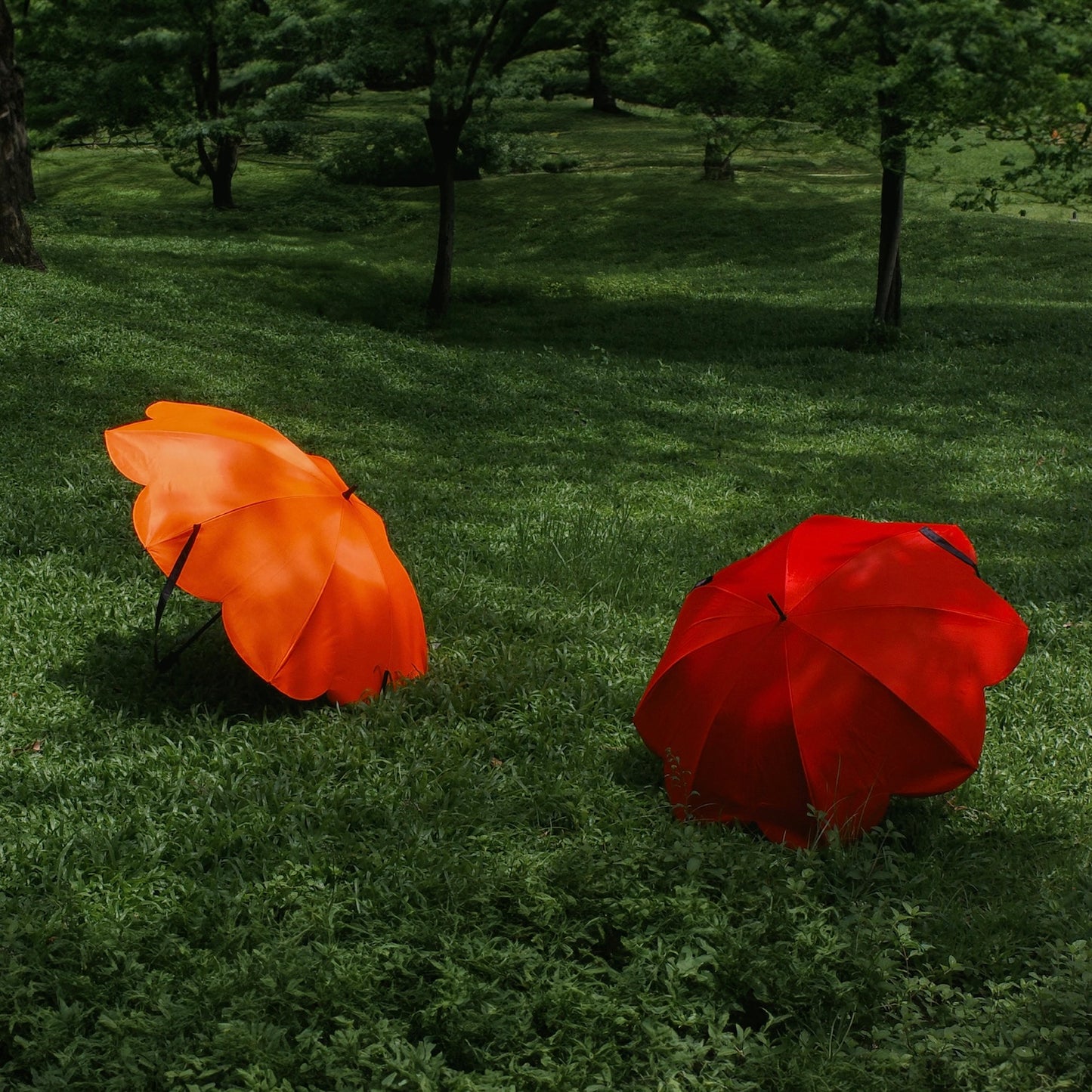 Sunny Umbrella (Dia 110 cm)