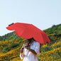 PDMG - Sunny Umbrella mini (5 pcs/pack)