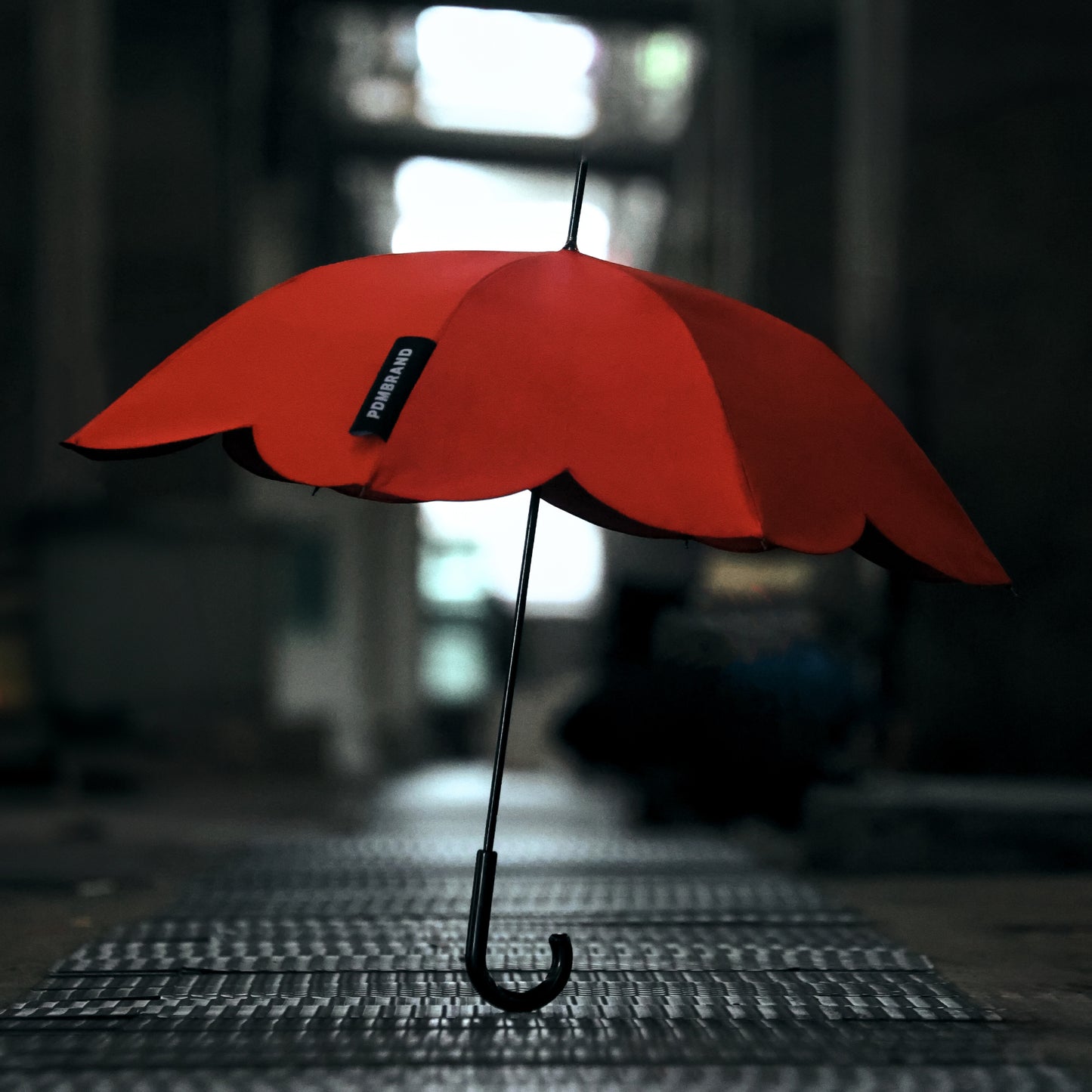 Sunny Umbrella (Pre-order)